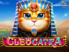 Cool cat online casino. Online casino learning management system.3